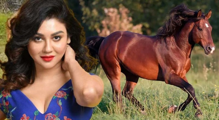 ঘোড়ার মাংসের বাণিজ্য নিষিদ্ধের দাবিতে জয়া আহসানের রিট